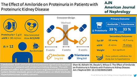 Visual Abstract AJN