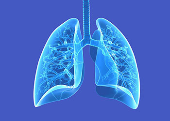 Tile Picture Respiration Thematic Review Series