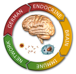 Logo of German-Endocrine-Brain-Immune-Network (GEBIN)