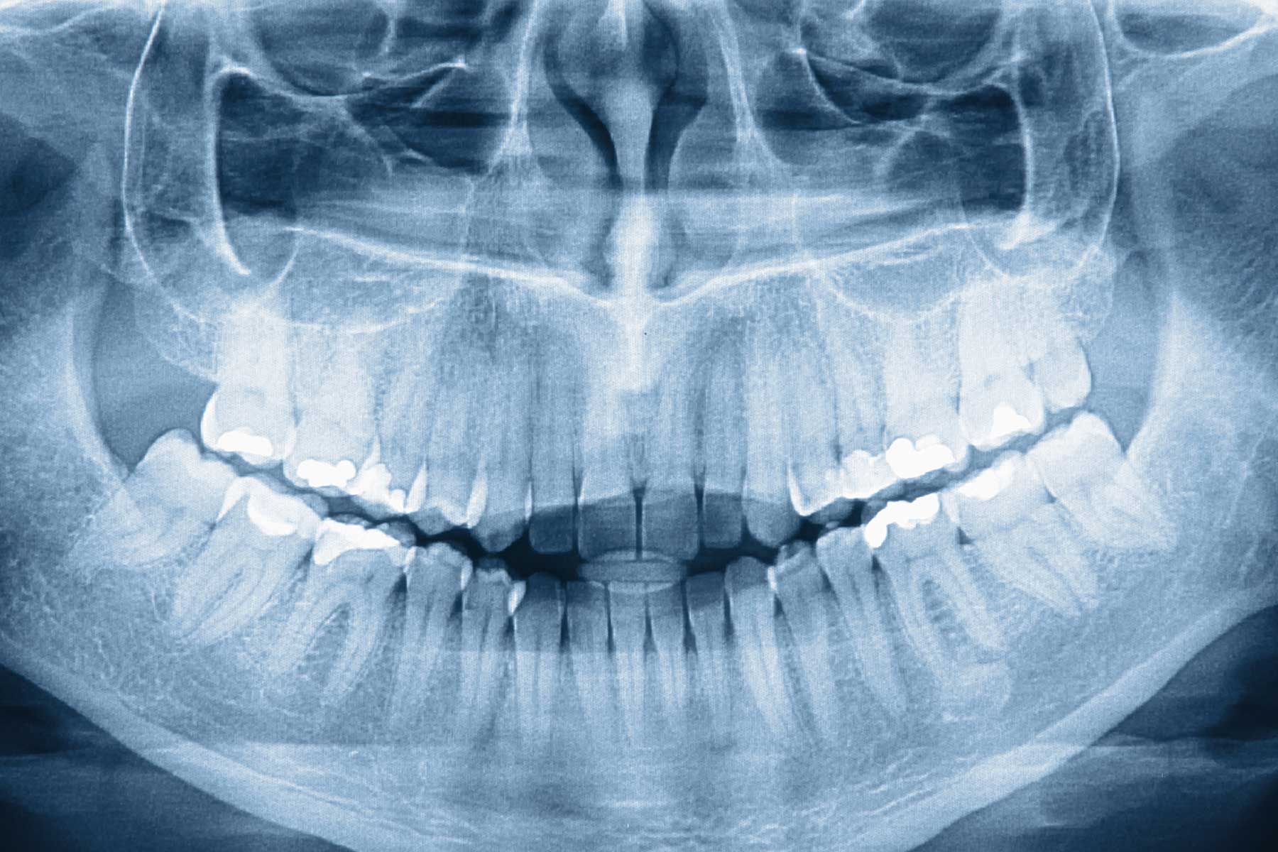 Mobile image for subject area Dental Medicine