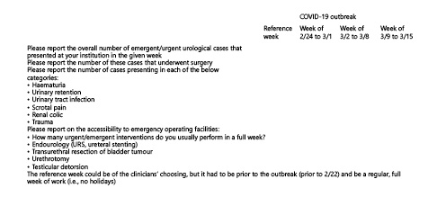 Fig. 1. E-mail questionnaire sent to the participating urological departments and centers. URS, ureteroscopy.