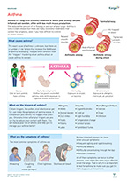 Preview of Summary Sheet 'Asthma'