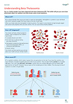 Preview of Summary Sheet 'Beta Thalassemia'