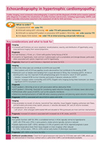 Preview of Summary Sheet 'Echocardiography in Hypertrophic Cardiomyopathy'