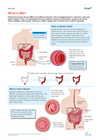 Preview of Summary Sheet 'What is IBD?'