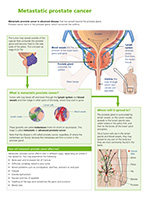 Preview of Summary Sheet 'Metastatic Prostate Cancer'