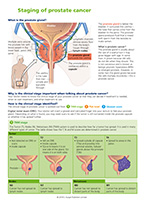 Preview of Summary Sheet 'Staging of Prostate Cancer'