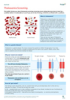 Preview of Summary Sheet 'Thalassemia Screening'