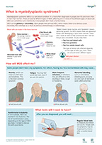 Preview of Summary Sheet 'What is Myelodysplastic Syndrome?'