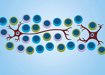 Tile Picture COVID-19, Hormones and Brain