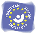 Logo of the European Vision Institute (EVI)