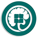 Logo of the World Society for Stereotactic and Functional Neurosurgery